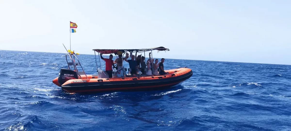 Speedboat to Masca Los Gigantes